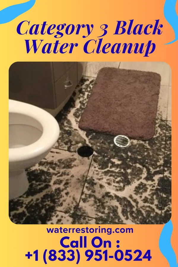 Category 3 Black Water Cleanup in Martin's Additions, MD