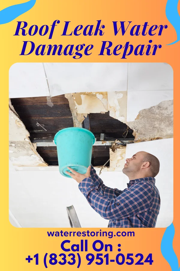 Roof Leak Water Damage Repair in Martin's Additions, MD