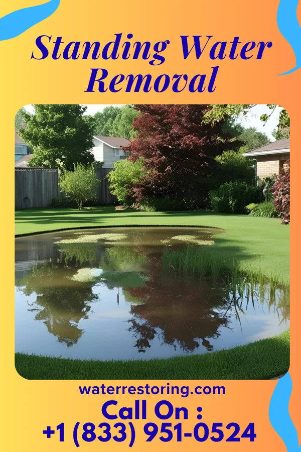 Standing Water Removal in Martin's Additions, MD